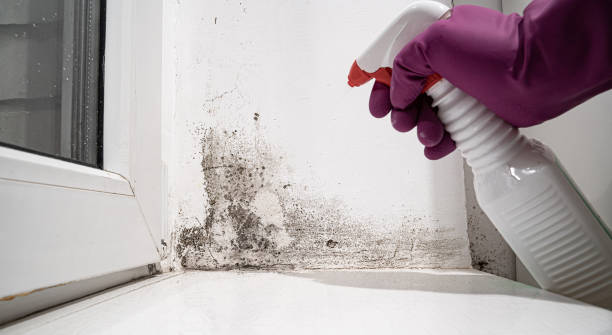 Water damage restoration process in Smiths Station, AL